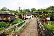 Foto: Cilts sievietes un saldūdens delfīnu meklējumi Borneo